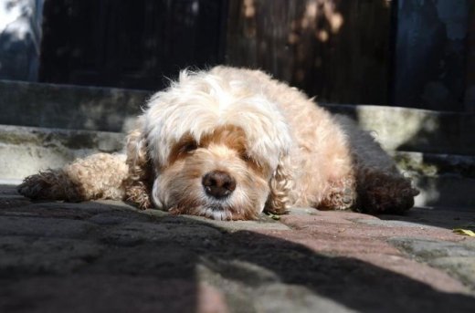 Пропав друг редакції ВолиньPost!!! Допоможіть знайти! ФОТО